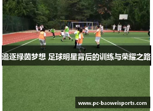 追逐绿茵梦想 足球明星背后的训练与荣耀之路 追逐绿茵梦想 足球明星背后的训练与荣耀之路