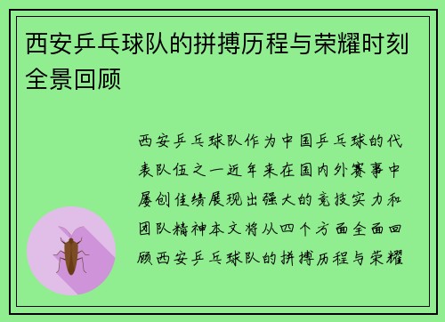 西安乒乓球队的拼搏历程与荣耀时刻全景回顾