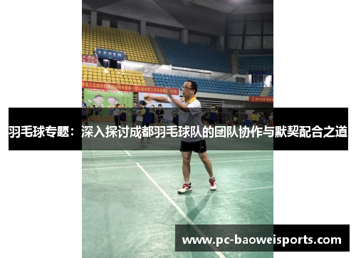 羽毛球专题：深入探讨成都羽毛球队的团队协作与默契配合之道