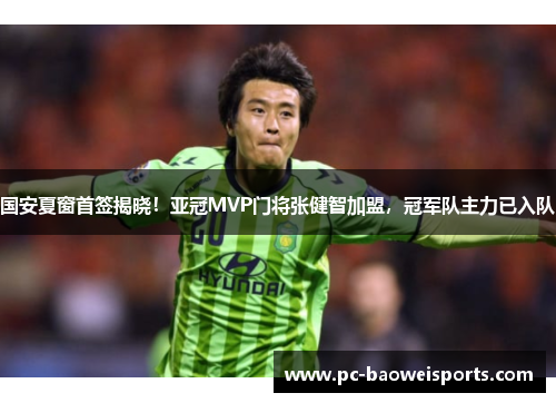 国安夏窗首签揭晓！亚冠MVP门将张健智加盟，冠军队主力已入队